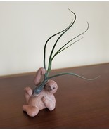 Sloth Air Plant Holder with Tillandsia Butzii Airplant, resin 3&quot; animal ... - £11.98 GBP