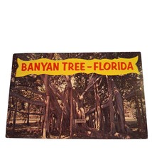 Postcard The Banyan Tree Florida Chrome Posted - £5.54 GBP