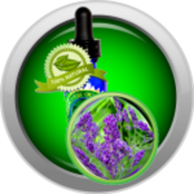 Lavender (Lavendula Augustifolia) Essential Oil - Kashmir - $5.00+