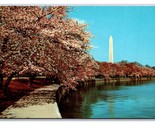 Washington Monument Through Cherry Blossoms Washington DC UNP Chrome Pos... - $1.93