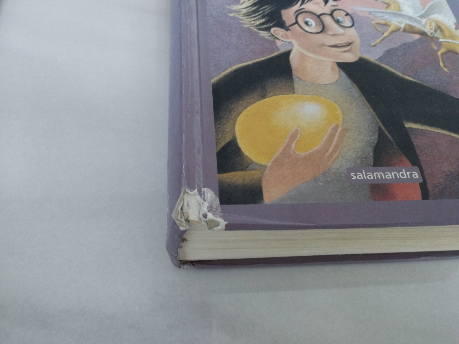 HARRY POTTER and the Goblet of Fire J K Rowling Edition 2001 Salamandra - BOOK Item image 3
