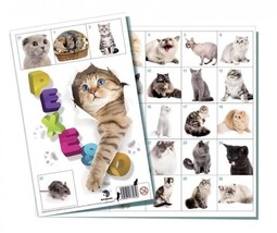Memory Game Pexeso Cats (Find the pair!), European Product - £4.94 GBP