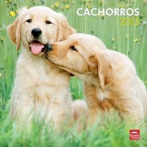 Cachorros/Puppies 2013 Calendar - $9.89