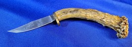 Skinning/ Gutting Knife With Nice Antler Handle - 3.5in Blade - Super Sharp - £44.00 GBP