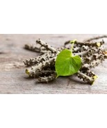 Guduchi Tinospora cordifolia Herb Soap Shampoo Toothpaste Skin Hair Nail - €10,17 EUR
