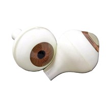 Life Size Adult Human Full Round Eyeballs w/STEM Body Parts Prop Doll Eyes-BROWN - $7.57