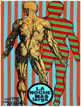 20x30&quot;Decoration Poster.Interior design art.Muscle Anatomy.Spanish.6361 - $38.61