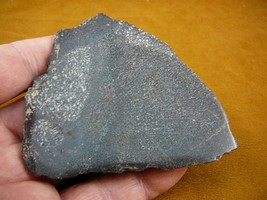 (DF-361-3) 8 oz Fossil REAL DINOSAUR Leg Bone Slice slab piece Jurassic ... - £37.29 GBP