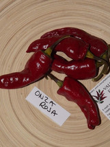 Onza Roja Chili Pepper, 5 seeds (Ch 088) - £2.38 GBP