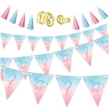 Boy Or Girl Gender Reveal Pink &amp; Blue Banner Garland Baby Shower Decorat... - £19.30 GBP