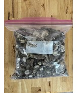 Chicken Manure Poop Unprocessed, Organic Free Range 5 pounds - $6.92