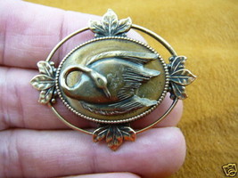 (b-bird-1302) Swan swans dance lake bird pin brass brooch love lover - £13.96 GBP
