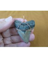 (S241-54) big 1-7/8&quot; Fossil MEGALODON Shark Tooth copper wired pendant J... - $788.61 MXN