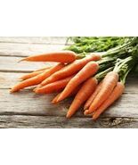 Organic Long Imperator Carrot Seeds - $4.95