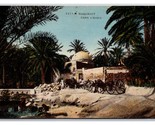 Marabout dans l&#39;Oasis Tunisia UNP DB Postcard Q25 - $4.04