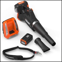 Yard Force Lithium-Ion Blower with Push-Button Speed Control - Complete ... - $475.15