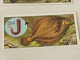 WD HO Wills Cigarettes Tobacco Trading Card 1910 Fish Bait Lure #46 Dab ... - £15.51 GBP