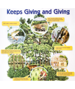 2002 International Paper Poster Life Of A Forest Trees Recycling Vintage... - €21,46 EUR 2002 International Paper Poster Life Of A Forest Trees Recycling Vintage... - €21,46 EUR