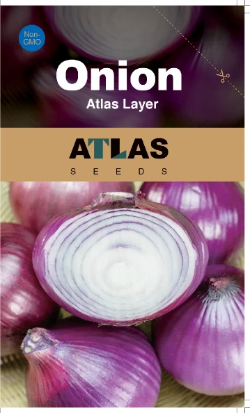 Onion -Atlas Layer - $3.89