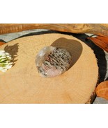 Lodolite Scenic World Quartz Crystal Shamanic Dreamstone with Layered In... - $21.95 CAD