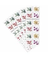 Winter Berries 5 Books of 20 First Class Forever US Postage Stamps Wedding Celeb - $119.99