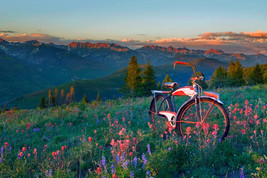Gore Range by Todd Van Fleet Bike Cycling Bicycle Flowers Canvas Giclee 24x36 - £288.84 GBP