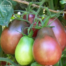 GoodideaHeirloom Evan&#39;s Purple Pear Tomato Seeds, professional pack, 100 Seeds T - £4.62 GBP