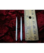 (f352-43) small 1-1/2&quot; Stingray Ray barbs modern Himantura chaophraya ba... - $266.28 MXN