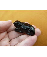 (Y-SEAL-567) little Black Onyx SEAL gemstone carving FIGURINE seals sea ... - $15.79