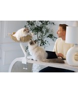 ERGO PURRCH™ – Elevated Desk-Mounted Cat Perch for Large &amp; Small Cats - $3,482.98 MXN+