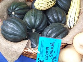 VT Squash Acorn Table Queen 47 Seeds Groco Fast Ship - $176.25 MXN
