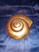 Brass Shark Eye Moon Shell  - €34,98 EUR