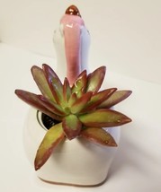 Live Succulent in Ceramic Unicorn Pot with Sedum Live Plant, White Horse Planter image 3