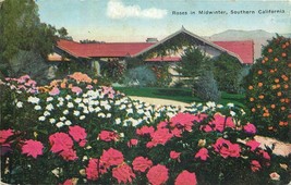 Roses in Midwinter Southern California Bungalow House Unused DB Postcard CA P747 - £3.82 GBP