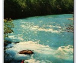 Elwha Fiume Olympic National Park Washington Wa Unp Cromo Cartolina V23 - £3.16 GBP