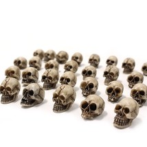 Mini Skull Figurine Miniature Skeleton Head Table Decor,Halloween Micro Landscap - £12.57 GBP