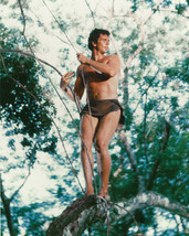 Ron Ely Tarzan Hunky 8X10 Color Photo On Rope - £7.66 GBP