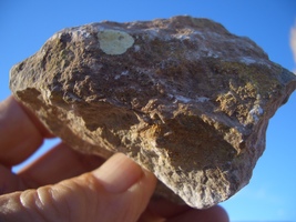 Tyuyamunite Uranium Rock 7.0 Oz., 24,000. Cpm Colorado $31.00 + $12.80 S/H - £24.49 GBP