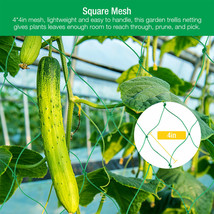 Garden Plant Climbing Net Trellis Netting Mesh Support Fruits Vine Veggie Bean - £12.37 GBP
