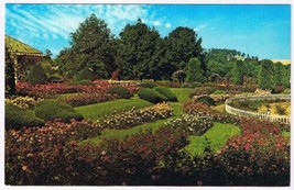 Postcard Hershey Rose Gardens &amp; Arboretum Chocolate Town Pennsylvania - $3.95