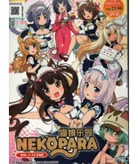 Nekopara 1-12End English Dubbed &amp; All region DVD Ship From USA Ship Out ... - $367.89 MXN