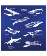 Printed Image Whales Bandanna 22" x 22" BLACK Survival Facts Informational - $12.55