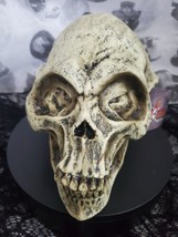 Alien Skull Halloween Latex Prop by Ghoulish Productions AREA 51 RELIC Halloween - £16.05 GBP