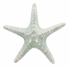 Large Ocean Coral Sea Star Shell Starfish Statue 8"L Nautical Coastal Decor - $25.99
