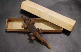 Crocodile Figure Rubber Animal Japan Old Sofuvi Goods Vintage Antique - £40.18 GBP