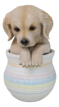 Realistic Golden Retriever Puppy Dog Figurine With Glass Eyes Pup In Pot - £20.03 GBP