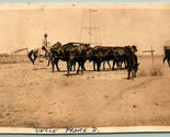 RPPC Named Subject Cowboy Frank David On a Horse Herding Cattle UNP Post... - £25.80 GBP