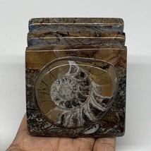 552g, 2.9&quot; x 2.9&quot; x 2.2&quot; Fossils Orthoceras Ammonite Business Card Holde... - £10.98 GBP