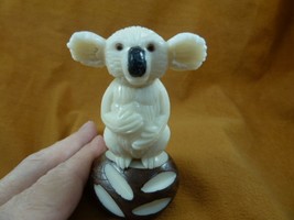 (TNE-BEA-KO-436b) Little White Koala Bear Tagua Nut Figurine Vegetable Palm - £31.62 GBP