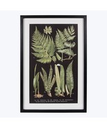 Wood Famed Botanical Print with Glass Cover Wall Art  16x24 - £63.41 GBP